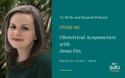 Episode 62: Obstetrical Acupuncture with Anna Dix
