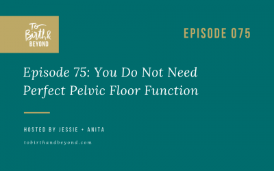 Episode 75: You Do Not Need Perfect Pelvic Floor Function