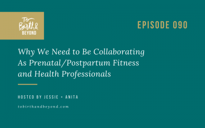 Episode 90: Why We Need to Be Collaborating As Prenatal/Postpartum Fitness and Health Professionals