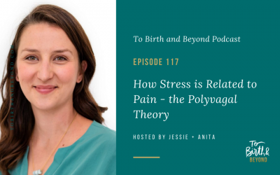 Episode 117: How Stress is Related to Pain – the Polyvagal Theory