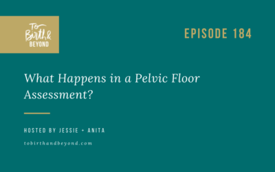 Episode 184: What Happens in a Pelvic Floor Assessment?