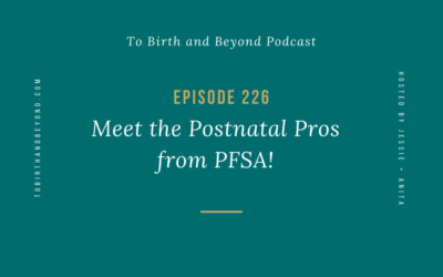 Episode 226: Meet the Postnatal Pros from PFSA!