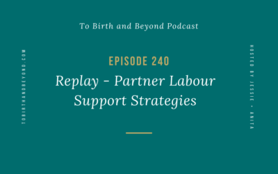 Episode 240: Replay – Partner Labour Support Strategies