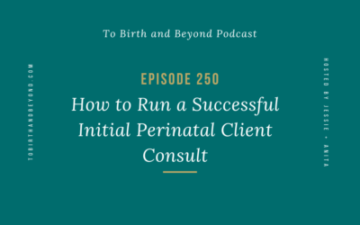 Episode 250: How to Run a Successful Initial Perinatal Client Consult