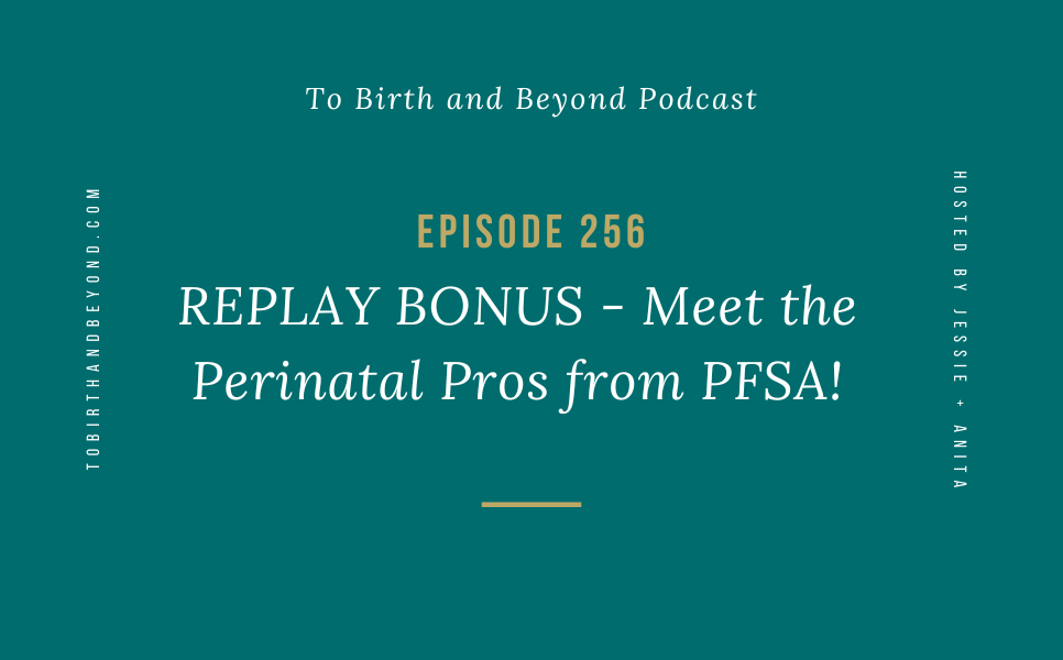 Episode 256: REPLAY BONUS – Meet the Perinatal Pros from PFSA!