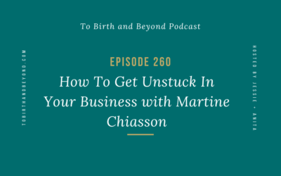Episode 260: How To Get Unstuck In Your Business with Martine Chiasson