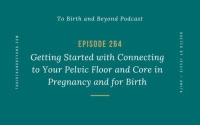 Episode 264: Getting Started with Connecting to Your Pelvic Floor and Core in Pregnancy and for Birth