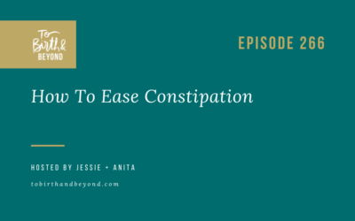 Episode 266: How To Ease Constipation and Help Other Pelvic Floor Symptoms During the Holidays